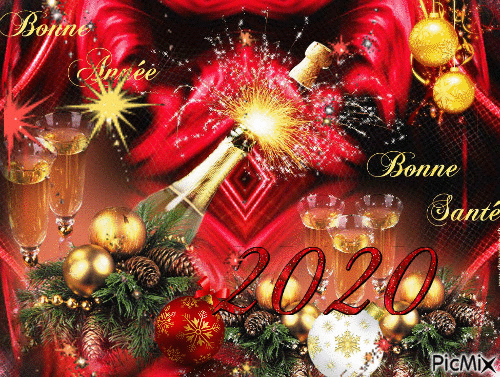 Bonne Année 2020